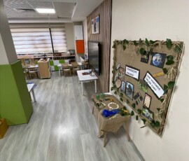 Galeri 7 Özel Bağcılar Beş Renk Anaokulu bahçe ve yeşil alan